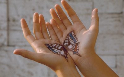 la storia della farfalla
